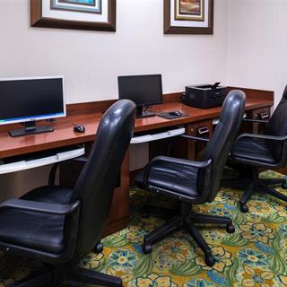 Holiday Inn & Suites Orlando SW - Celebration Area | Kissimmee | professional